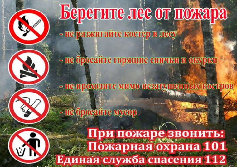 Правила пожарной безопасности в весенне-летний пожароопасный период..